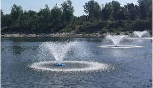 冬季池塘水产养殖的管理要点与水污染治理策略